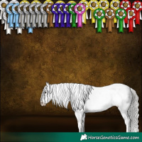 Horse Color:Liver Chestnut Mushroom Appaloosa 