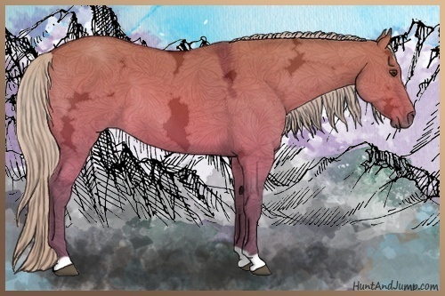 Horse Color:Silver Brown Ice Dun 