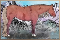 Horse Color:Silver Brown Ice Dun 