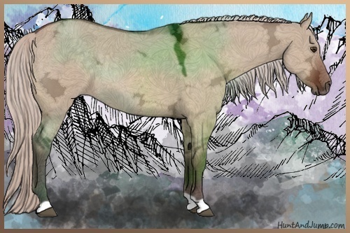 Horse Color:Silver Brown Ice Dun