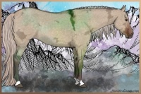 Horse Color:Silver Brown Ice Dun 