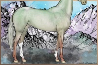Horse Color:Silver Buckskin Roan Pearl Dun 