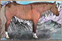 Horse Color:Silver Brown Dun 