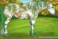 Horse Color:Watercolor White Spotted Bay Splash 