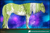 Horse Color:Watercolor White Spotted Chestnut Rabicano 