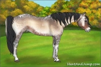 Horse Color:Bay Ice Roan Onyx 