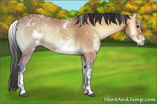 Horse Color:White Spotted Bay Ice Onyx