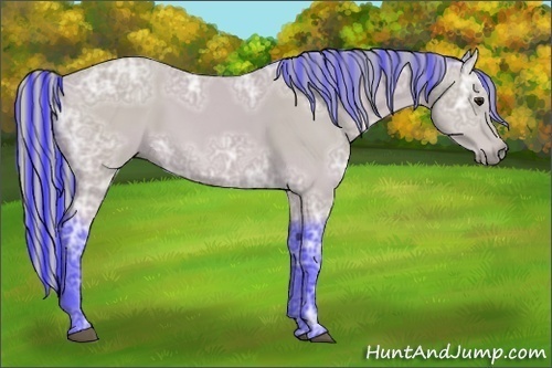 Horse Color:Painted Watercolor Buckskin Ice
