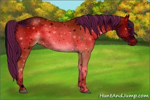 Horse Color:ERROR: UNKNOWN ANOMALY