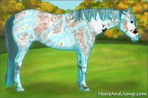 Horse Color:Thunderstruck White Spotted Bay Ice Roan