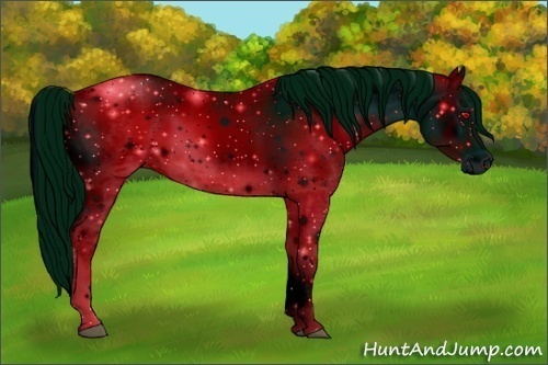 Horse Color:ERROR: UNKNOWN ANOMALY