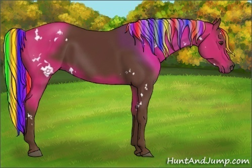 Horse Color:Painted White Spotted Liver Chestnut Rabicano 