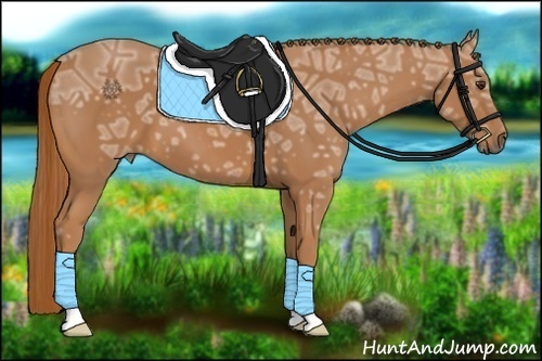 Horse Color:Chestnut Ice 