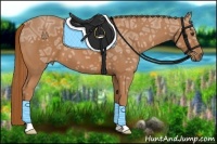 Horse Color:Chestnut Ice 
