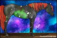 Horse Color:Painted White Spotted Liver Chestnut 