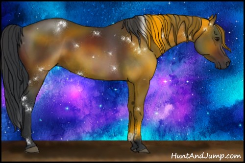 Horse Color:White Spotted Brown 