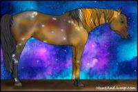 Horse Color:White Spotted Brown 