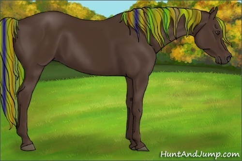 Horse Color:Painted Liver Chestnut Rabicano