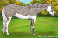 Horse Color:Silver Grullo Ice Splash Frame