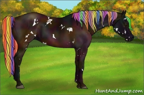 Horse Color:Painted White Spotted Midnight Silver Brown