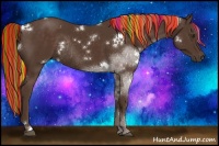 Horse Color:Painted White Spotted Liver Chestnut Rabicano 