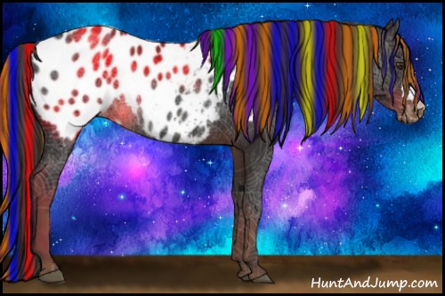 Horse Color:Painted Liver Chestnut Appaloosa Rabicano