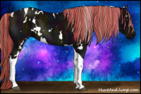 Horse Color:Painted White Spotted Midnight Liver Chestnut Tobiano Rabicano