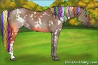 Horse Color:Painted White Spotted Liver Red Dun Rabicano 