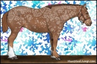 Horse Color:Chestnut Ice Tobiano 
