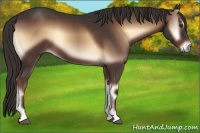 Horse Color:Liver Red Onyx 