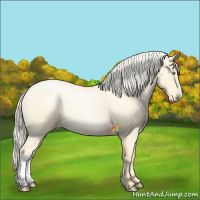 Horse Color:Palomino Roan Pearl  and Palomino Roan Pearl 