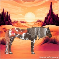 Horse Color:White Spotted Liver Chestnut