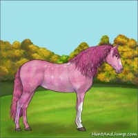 Horse Color:Watercolor Plaid  Chestnut 