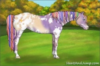 Horse Color:Painted White Spotted Gold Cream Champagne Dun Blanket