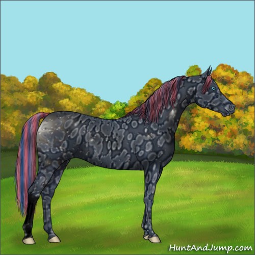 Horse Color:ERROR: UNKNOWN ANOMALY
