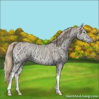 Horse Color:Smoky Creme Ice Onyx