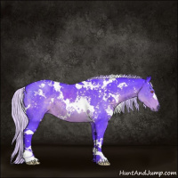 Horse Color:Watercolor White Spotted Silver Black Chinchilla 