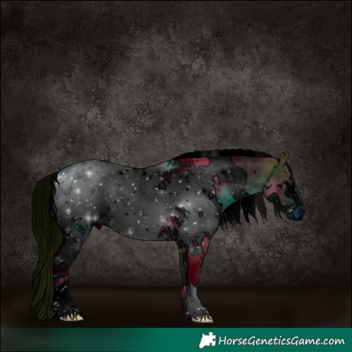 Horse Color:ERROR: UNKNOWN ANOMALY