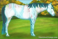 Horse Color:Thunderstruck Bay Ice Onyx Frame Rabicano 