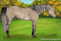 Horse Color:White Spotted Smoky Grullo Splash  and Void White Spotted Silver Brown Dun Rabicano 