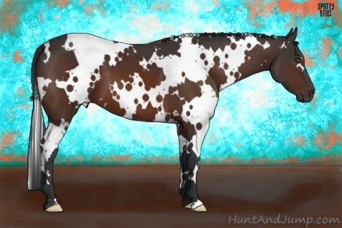 Horse Color:White Spotted Bay Frame 