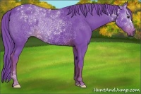 Horse Color:Watercolor Liver Chestnut 