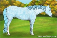 Horse Color:Watercolor Black Ice 