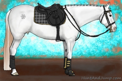 Horse Color:Buckskin Frame Appaloosa 