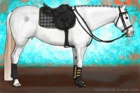 Horse Color:Buckskin Frame Appaloosa 