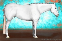Horse Color:Buckskin Sabino Frame Near Leopard Rabicano 
