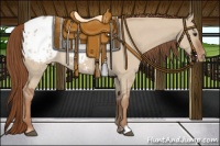 Horse Color:Red Dun Roan Appaloosa 