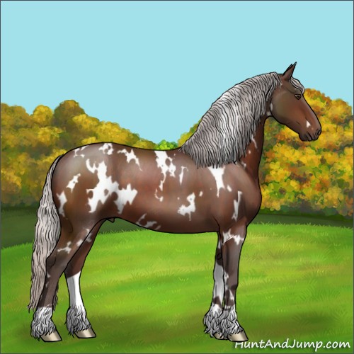 Horse Color:White Spotted Silver Brown