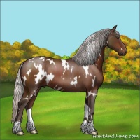 Horse Color:White Spotted Silver Brown 