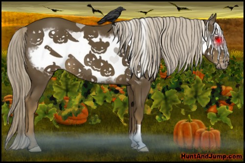 Horse Color:Chocolate Palomino Frame 